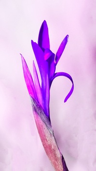 F 058B